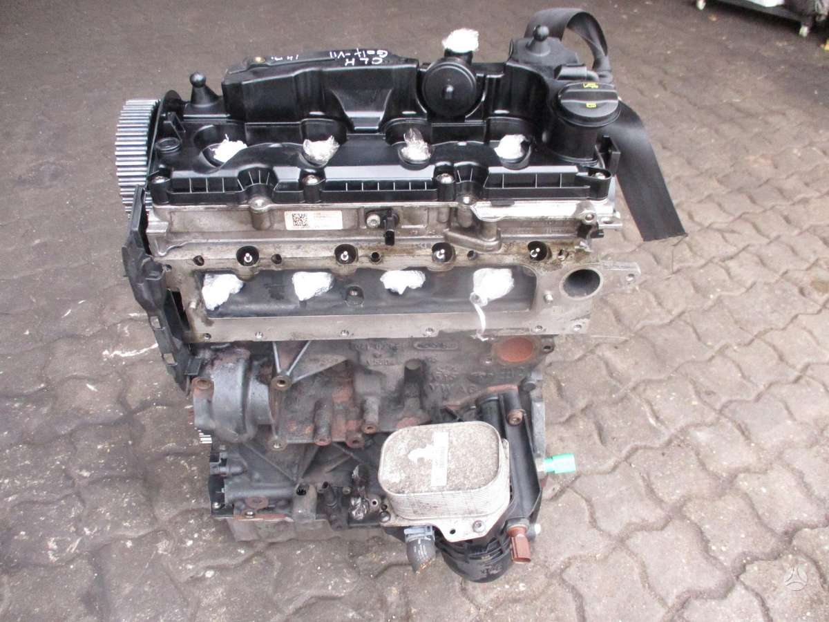 Volkswagen Golf Variklis 1 6d clh