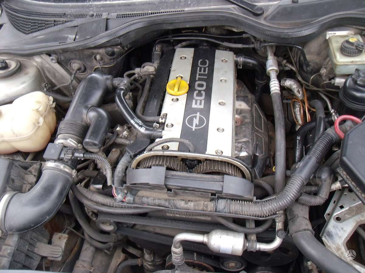 Opel Omega Dalimis