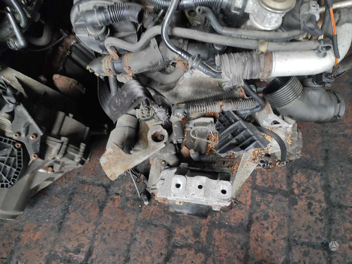 Skoda Octavia Tik variklis ir dėžė