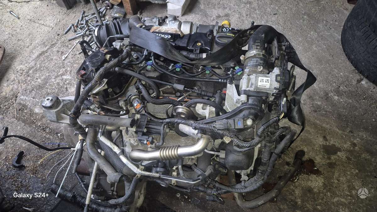 Ford Focus 1 5 d xwdb