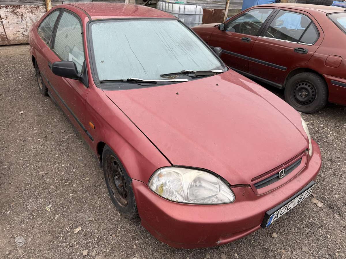 Honda Civic Dalimis
