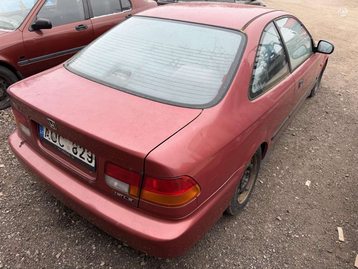 Honda Civic Dalimis