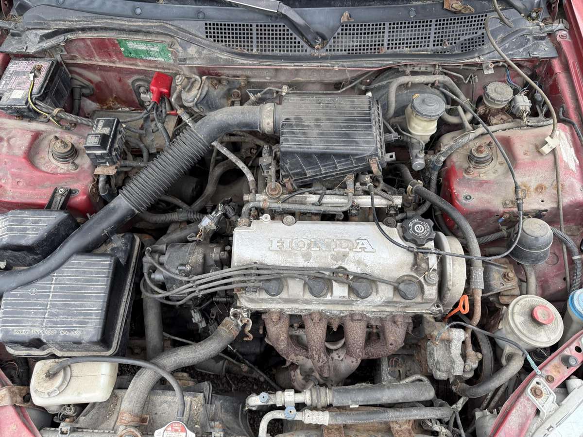 Honda Civic Dalimis