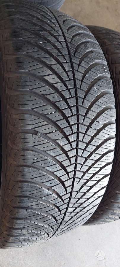 Goodyear, universalios 205/50 R17
