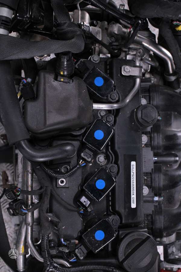 Kia Niro, G4LL, Variklis g4ll