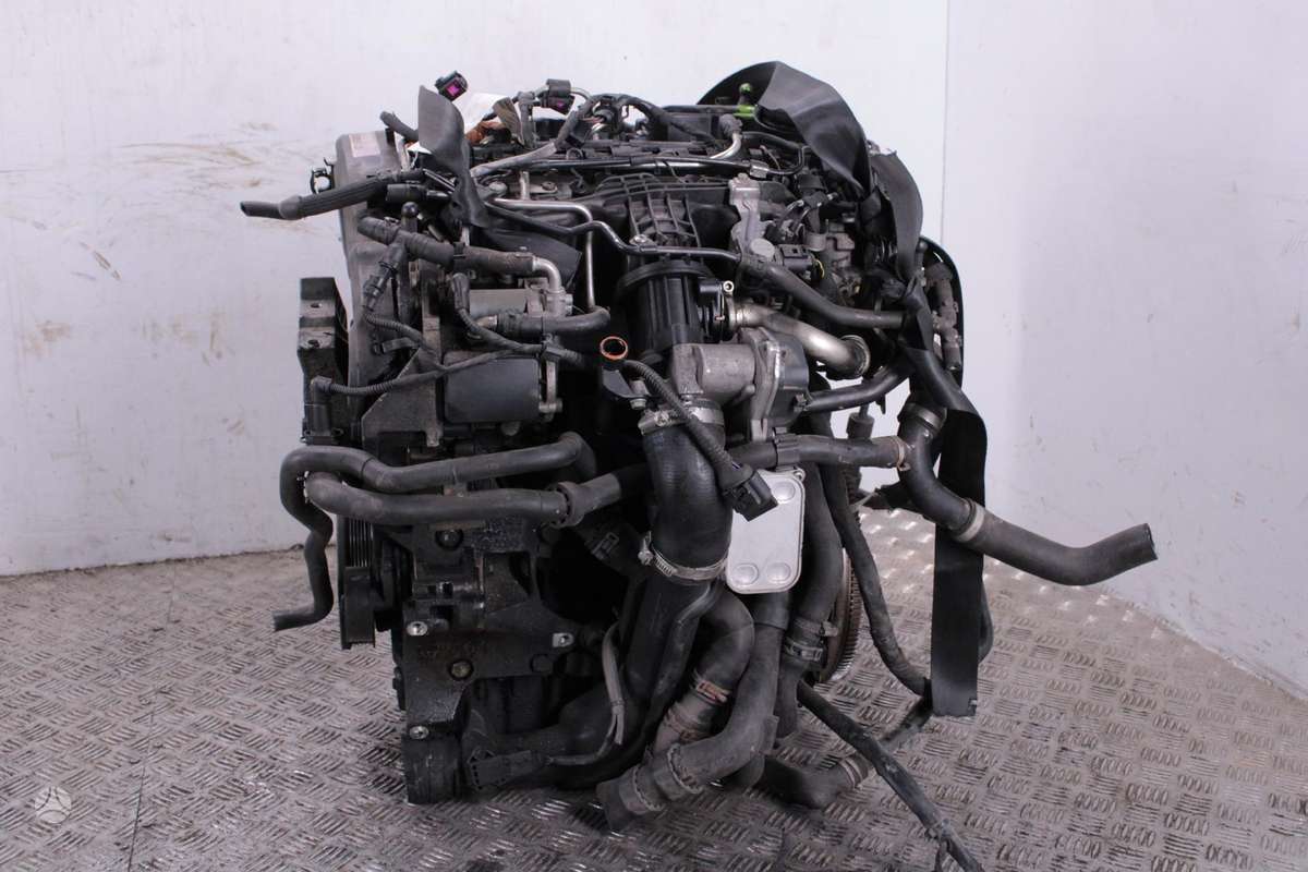 Volkswagen Golf, CAY, Variklis cay