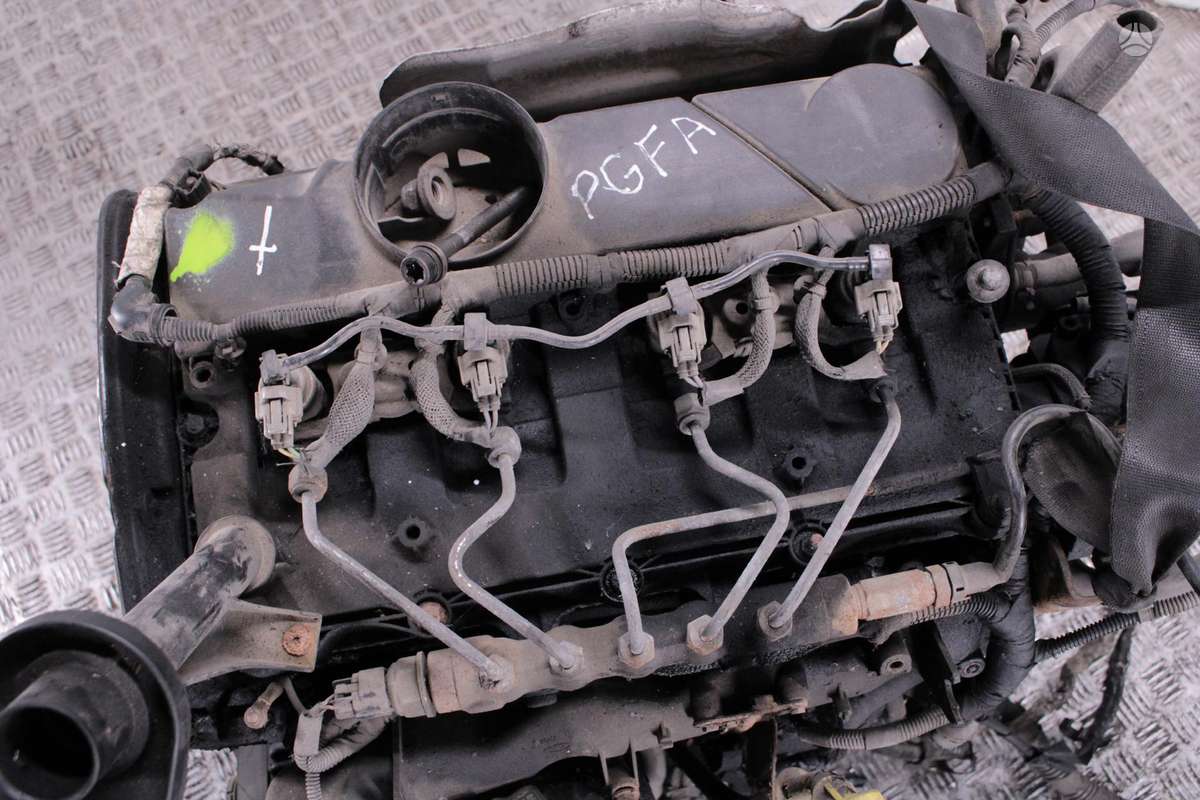 Ford Transit, PGFA, Variklis pgfa