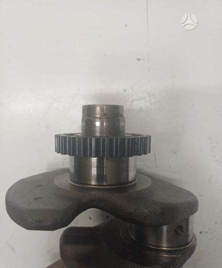 Volkswagen Touran, DFG, crankshaft