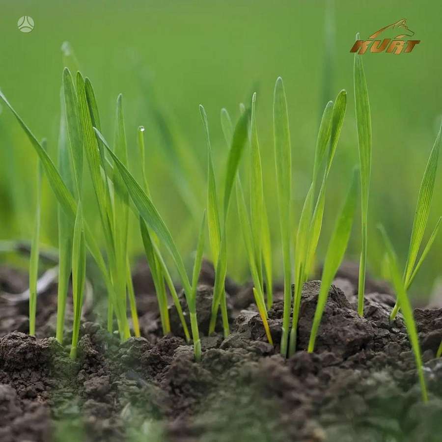 -Kita- KURT 3/4m, seeders, planters