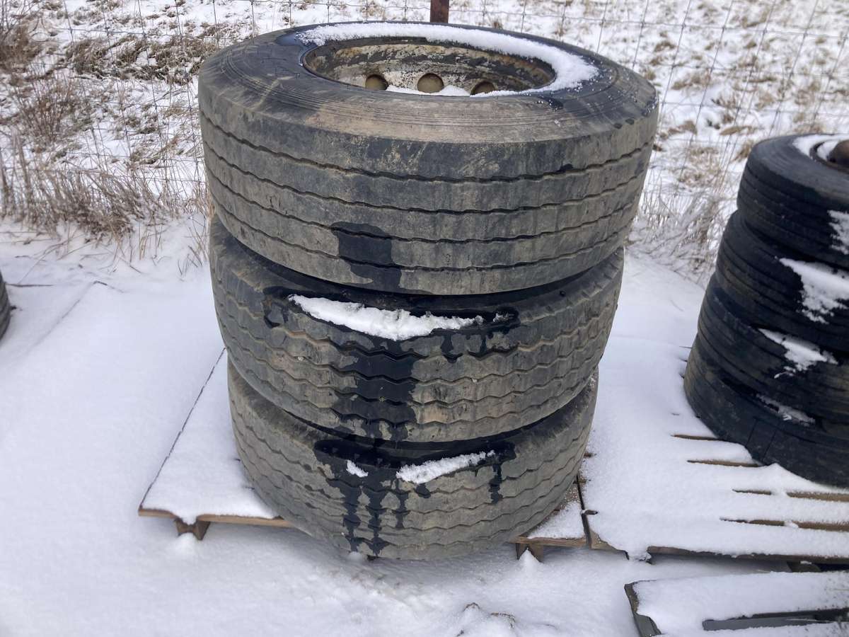 Bridgestone, other 385/65 R22,5