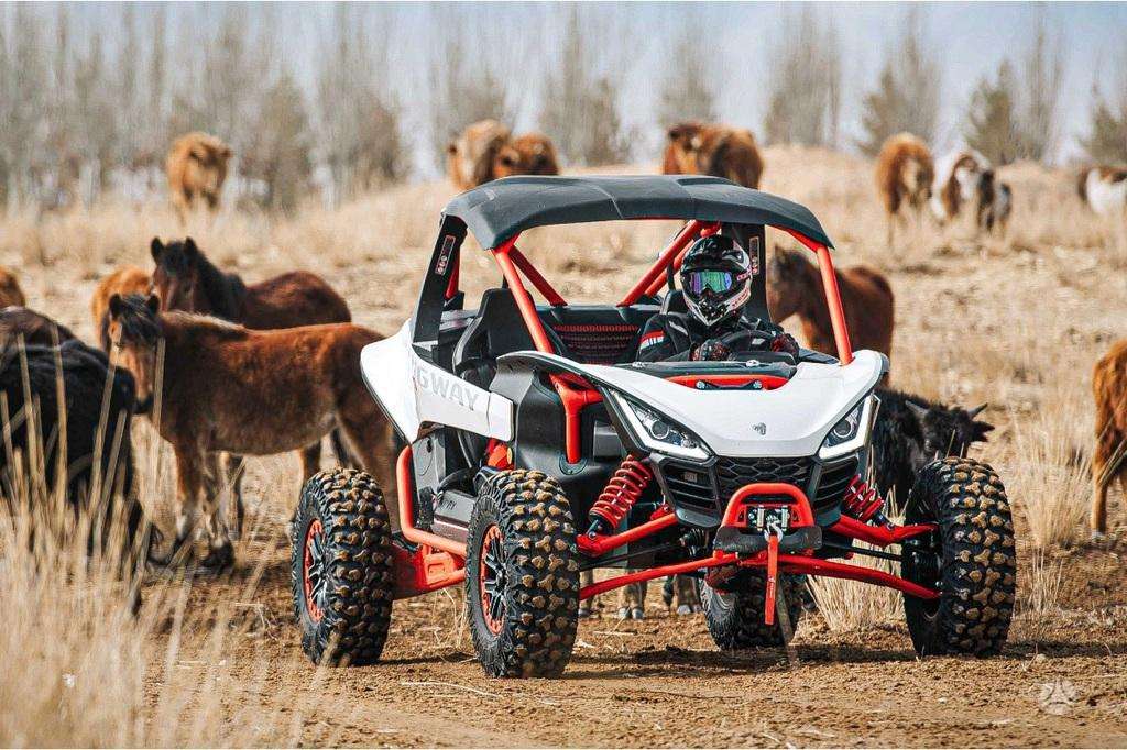 Segway Villain 1000cc, atv / quad