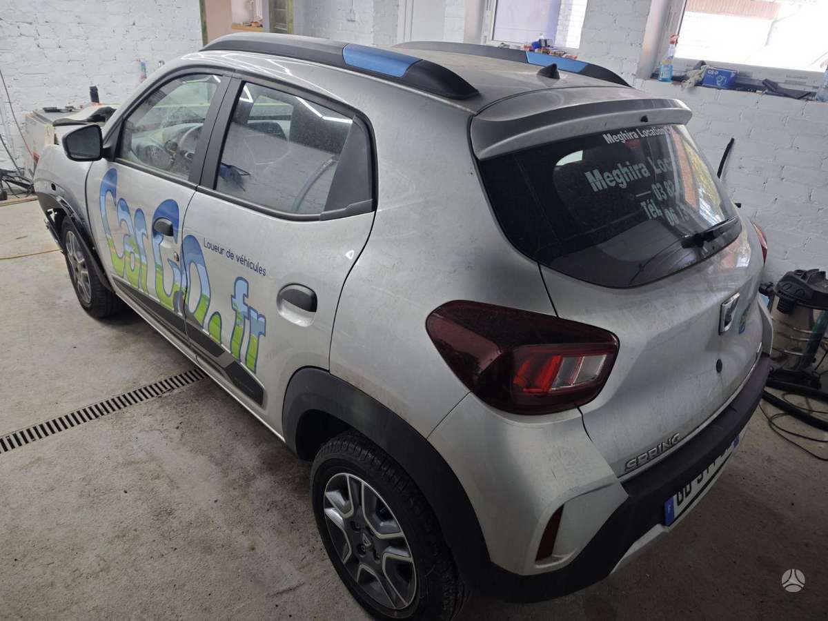 Dacia Spring dalimis