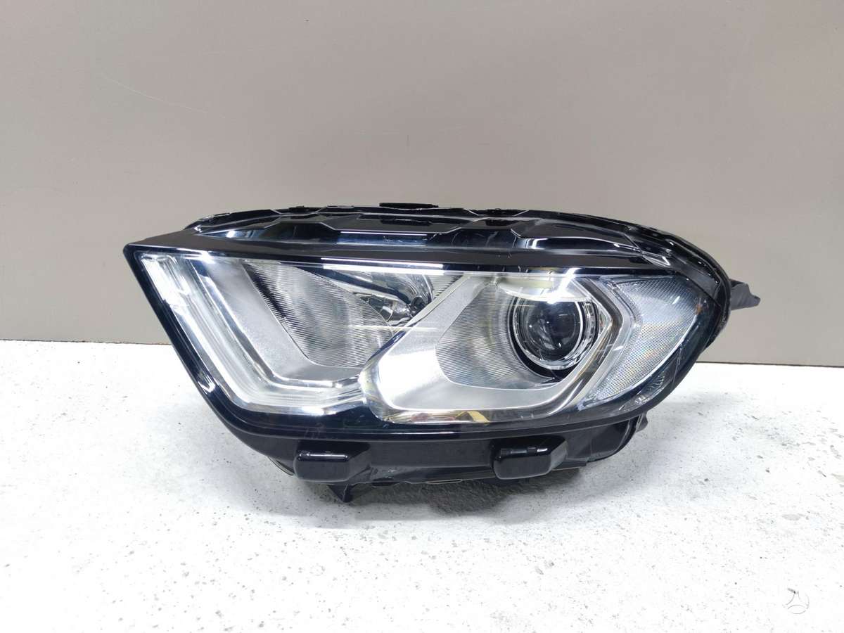 Ford EcoSport lights, front grill