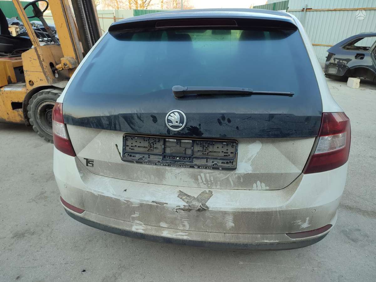 Skoda Rapid Variklis cax