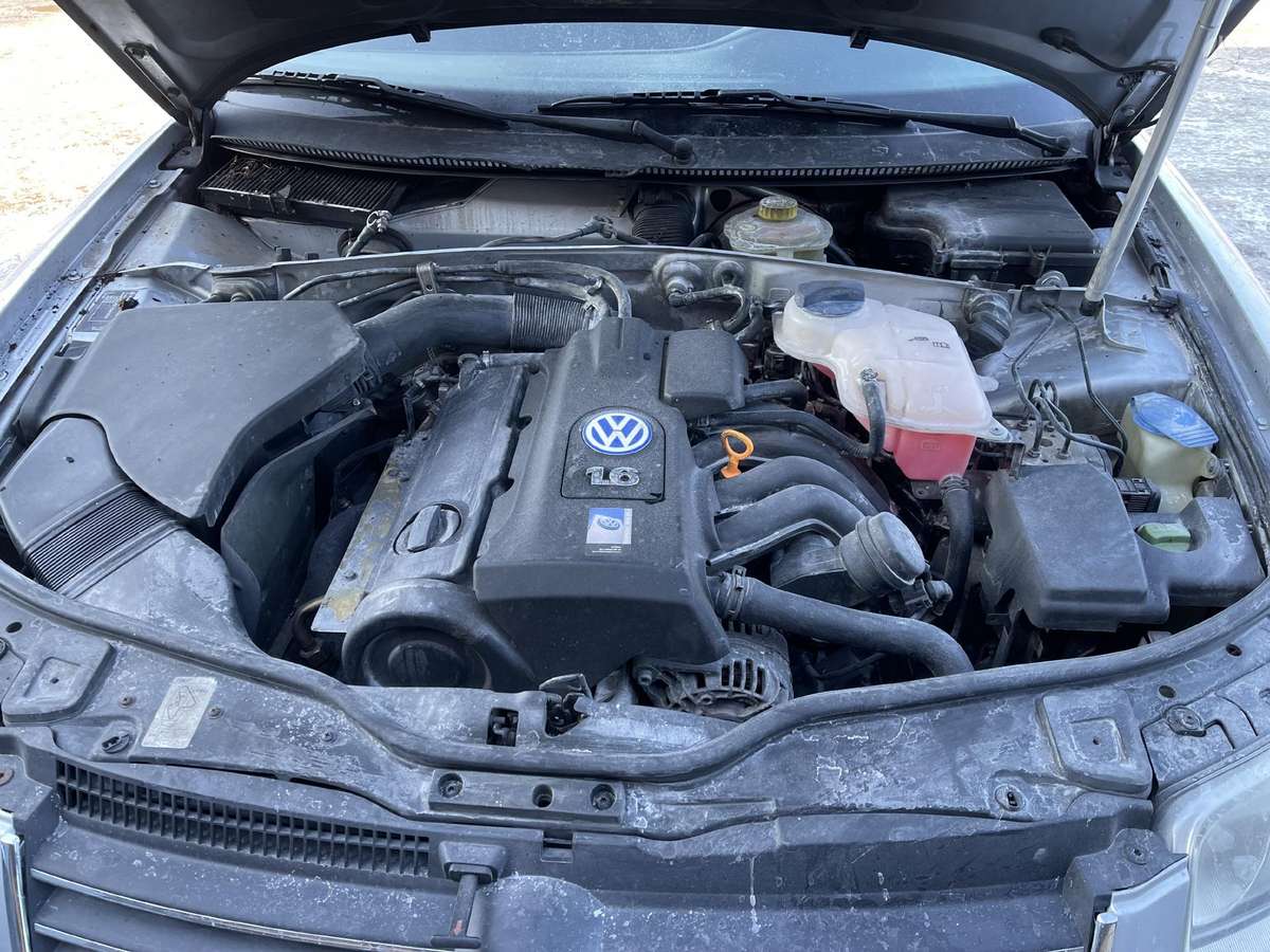 Volkswagen Passat dalimis