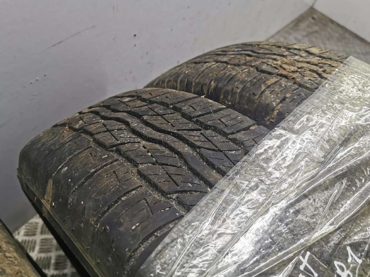Bridgestone, universalios 225/65 R17
