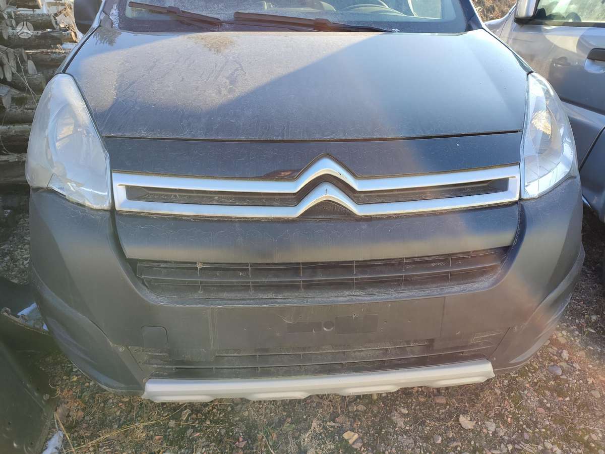 Citroen Berlingo Variklis bhz bh01
