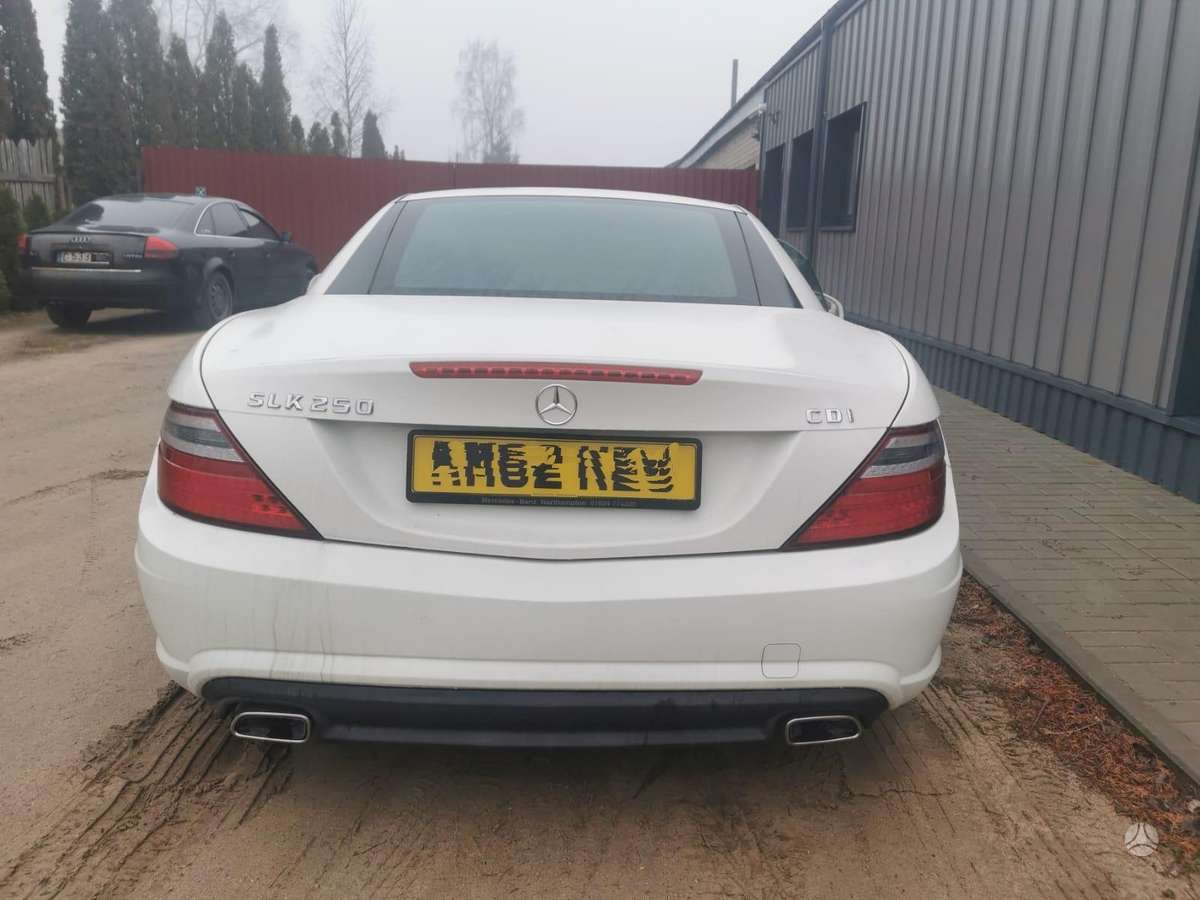 Mercedes-Benz SLK250 dalimis