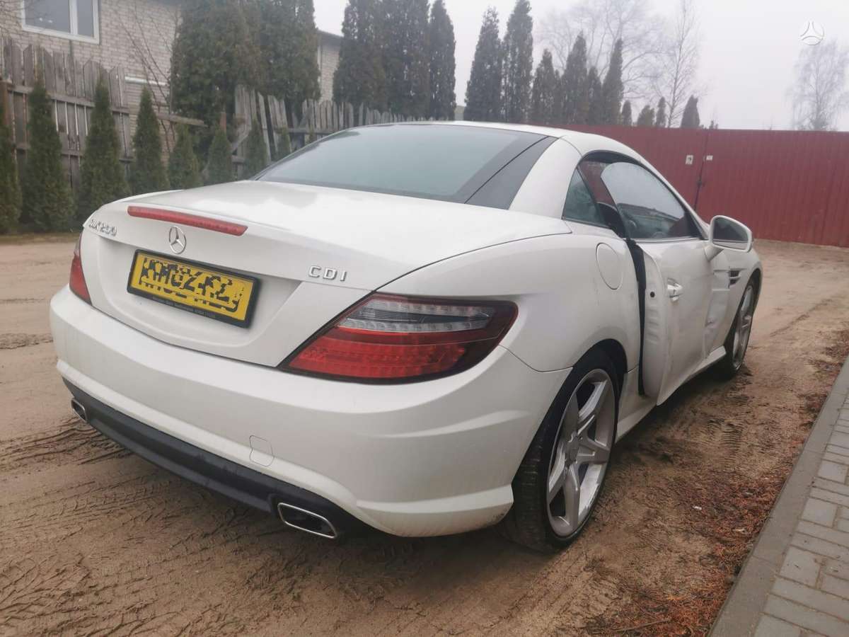 Mercedes-Benz SLK250 dalimis