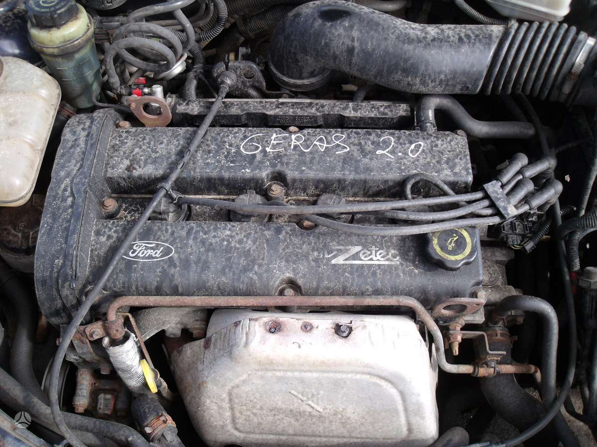 Ford Focus Dalimis