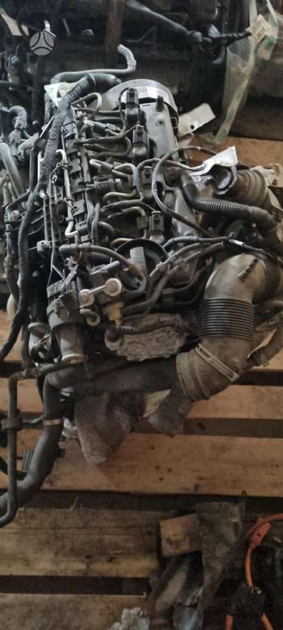 Skoda Yeti, CAYC, engine