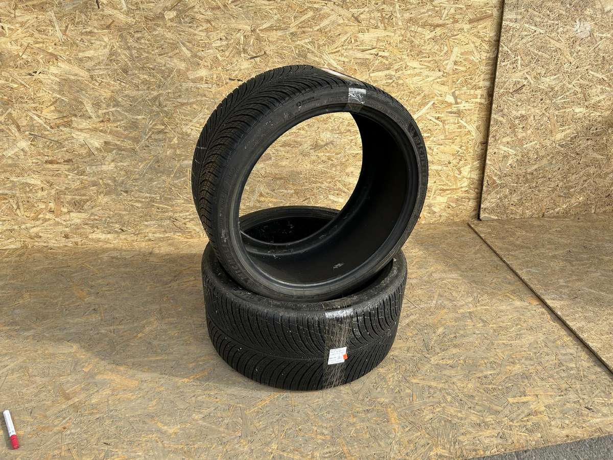 Michelin Pilot Alpin 5, летние 295/30 R21