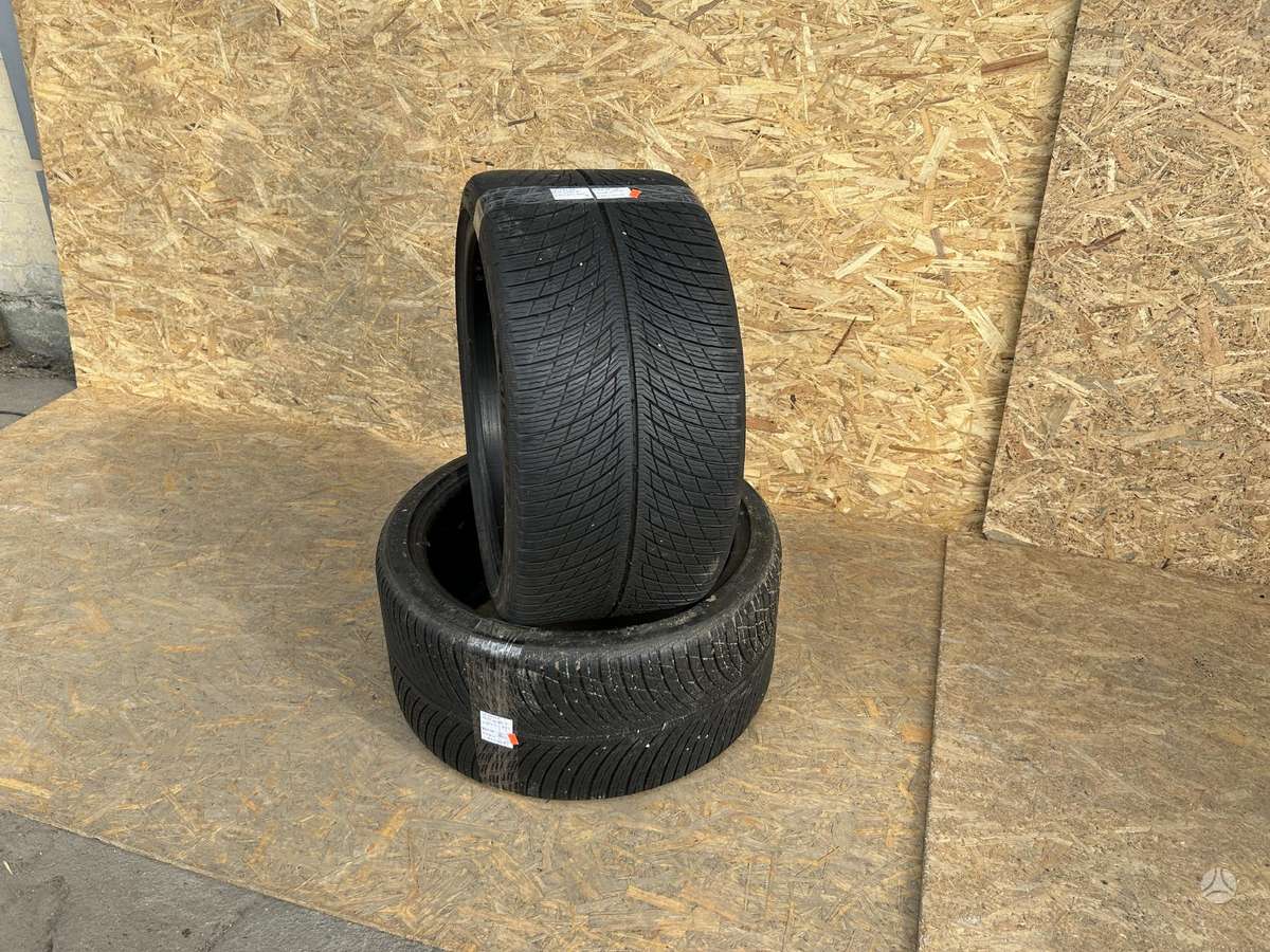 Michelin Pilot Alpin 5, летние 295/30 R21