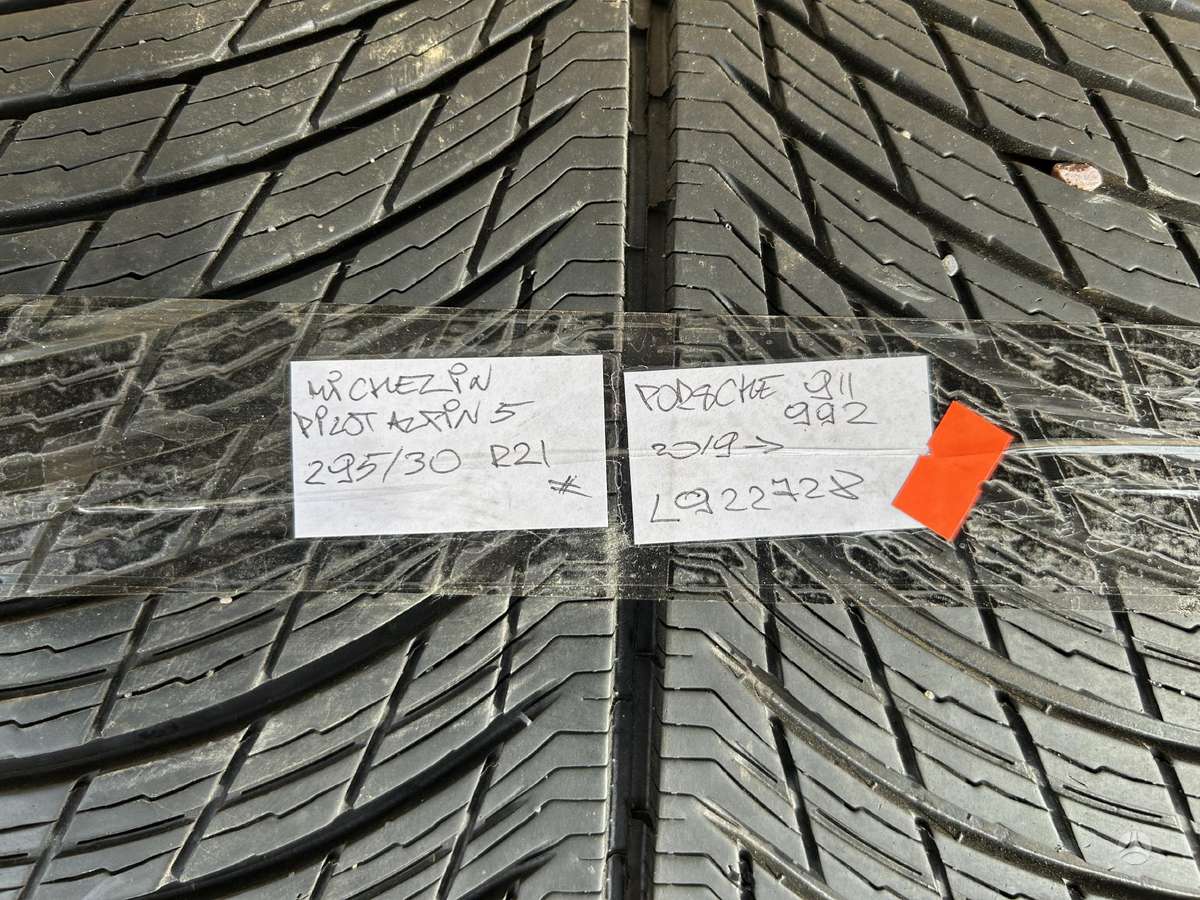 Michelin Pilot Alpin 5, летние 295/30 R21