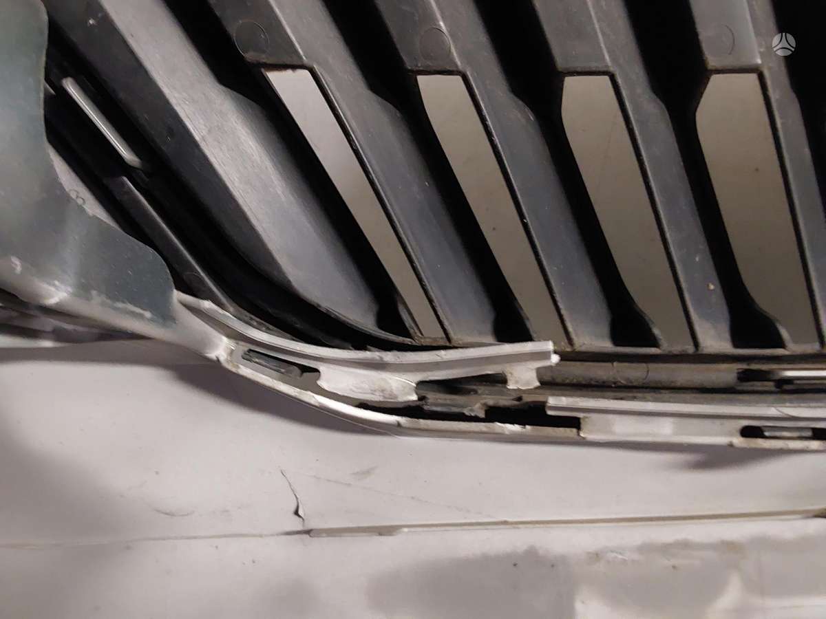 Skoda Rapid dalimis