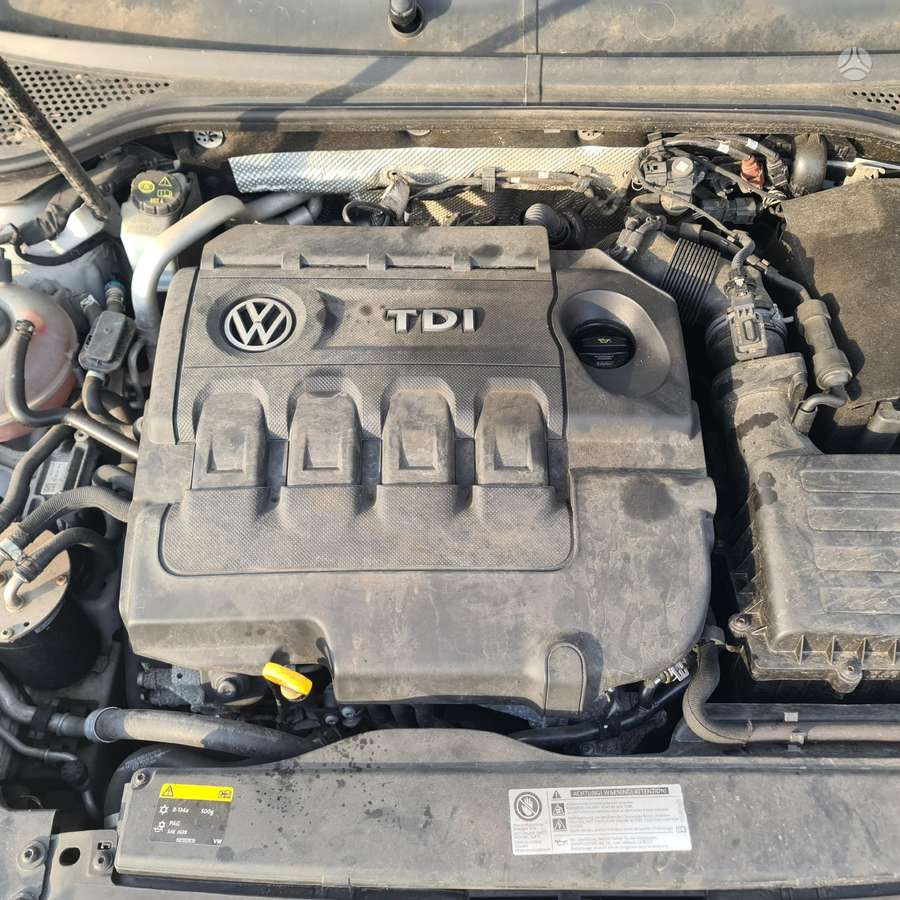 Volkswagen Passat dalimis. Anglas dalimis