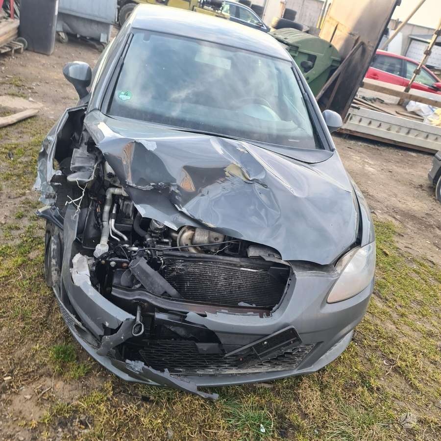 Seat Leon по частям. Europa dalimis