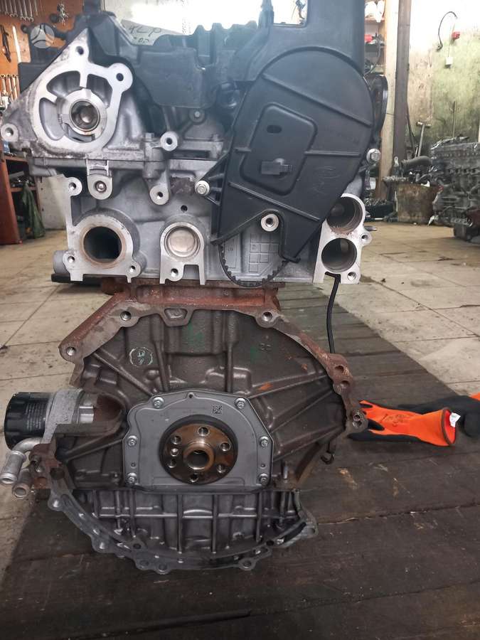 Ford Focus engine