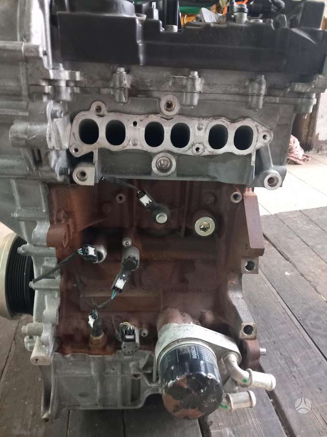 Ford Focus variklis