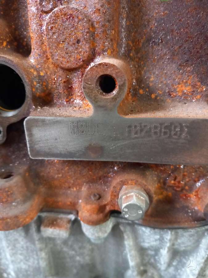 Ford Focus engine