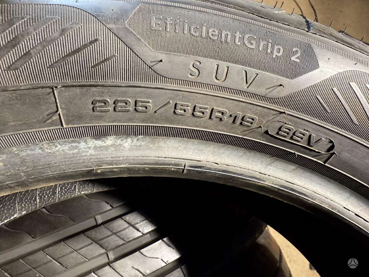 Goodyear EfficientGrip2 suv/2023m, vasarinės 225/55 R19