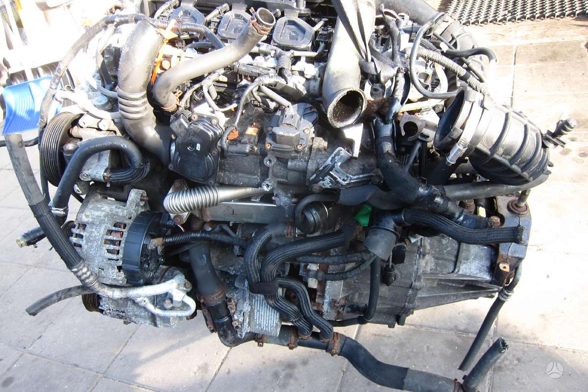 Renault Trafic Variklio kodas m9r630