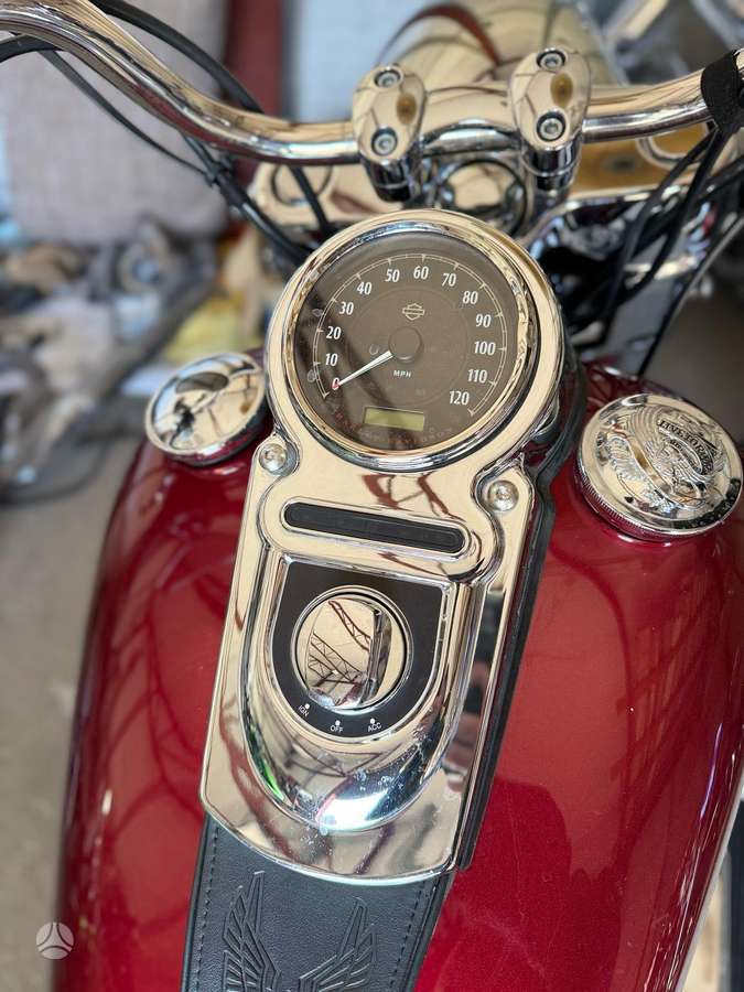 Harley-Davidson Dyna, choppers / cruisers / custom