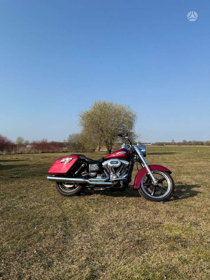 Harley-Davidson Dyna, choppers / cruisers / custom