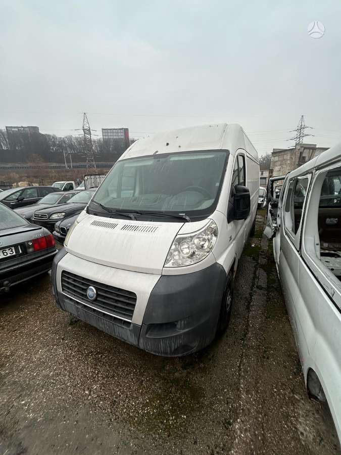 Fiat Ducato, грузовые микроавтобусы