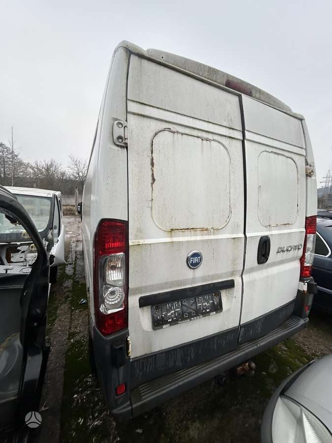 Fiat Ducato, грузовые микроавтобусы