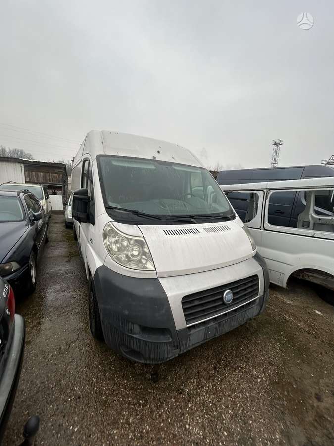 Fiat Ducato, грузовые микроавтобусы