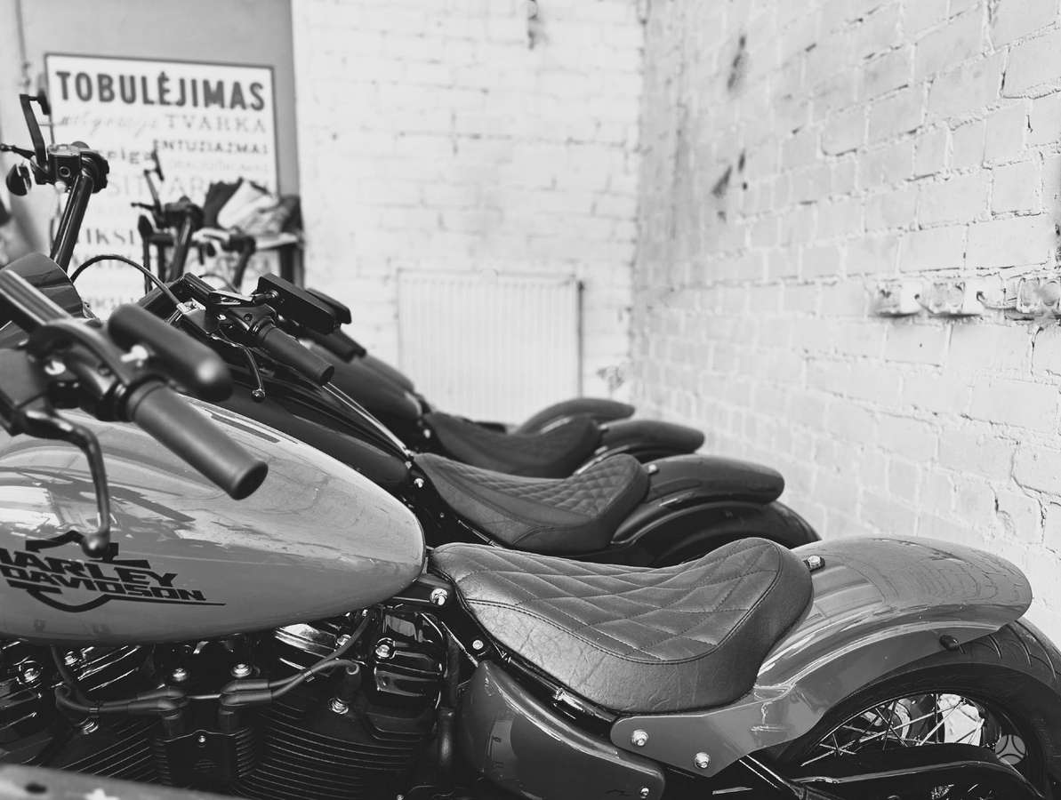 Harley-Davidson Softail, чопперы / круизеры / custom