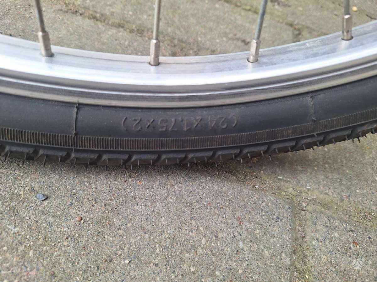 City bike Terrible One 24″