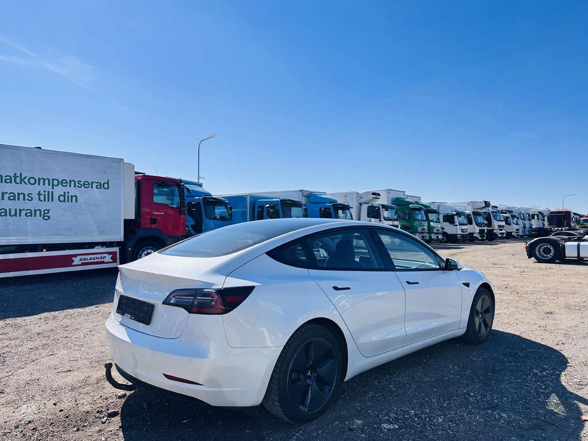 Tesla Model 3, hečbekas
