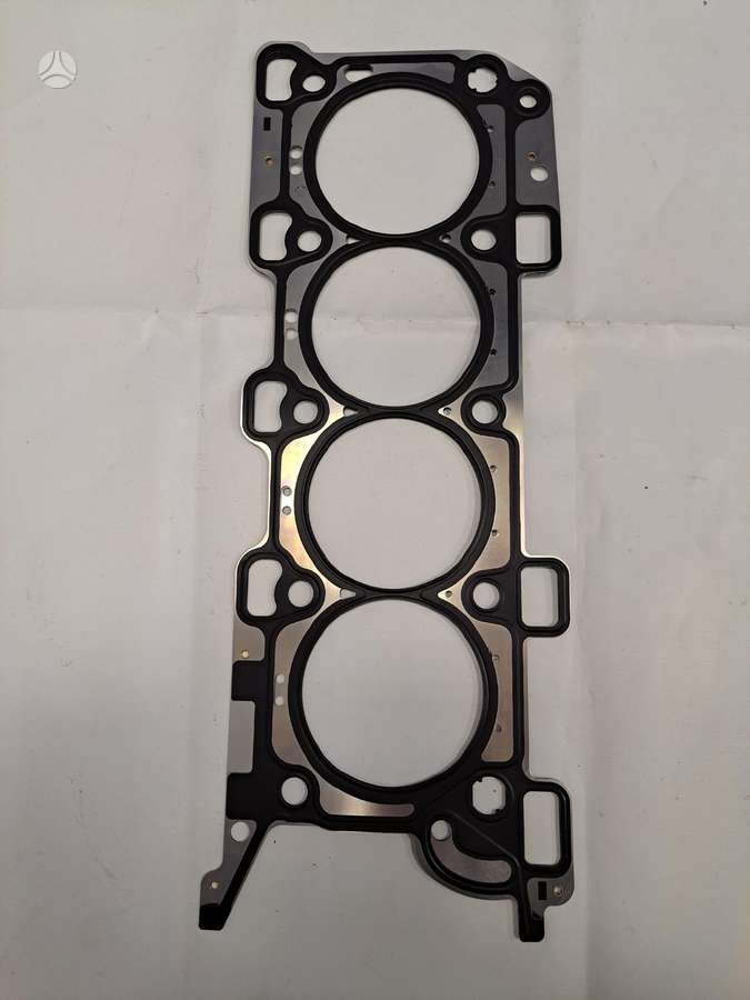 Ford F-150 Nuo 2021 2025