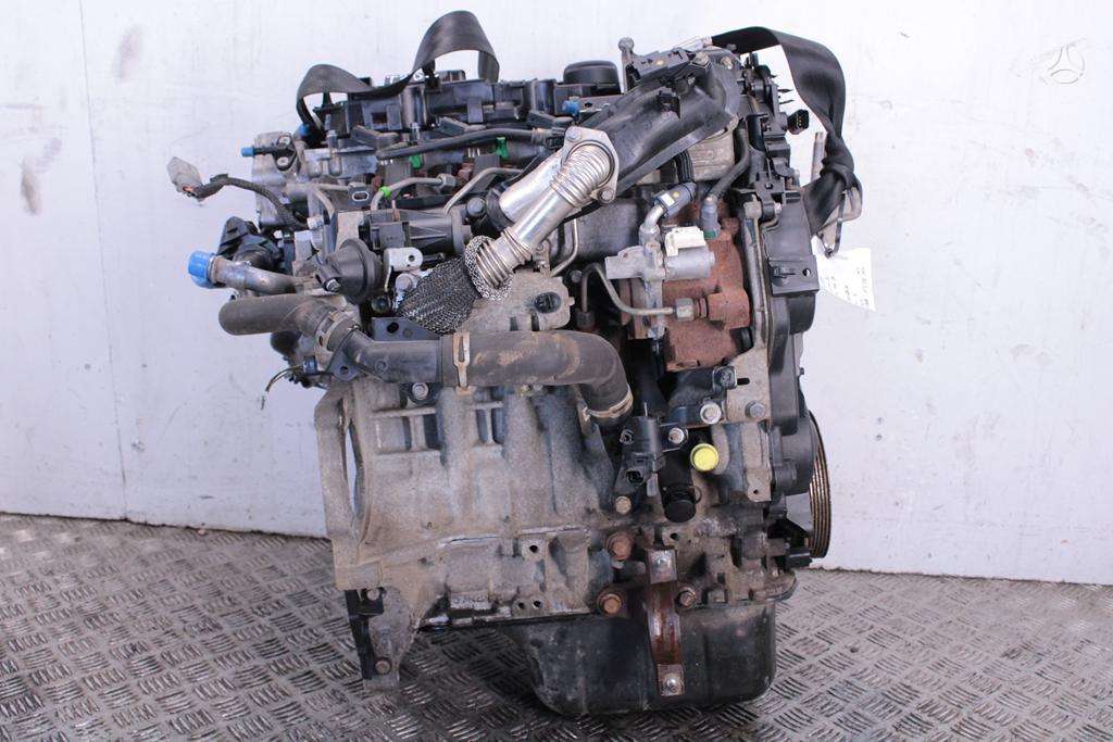 Ford Focus, T3DB, Variklis t3db