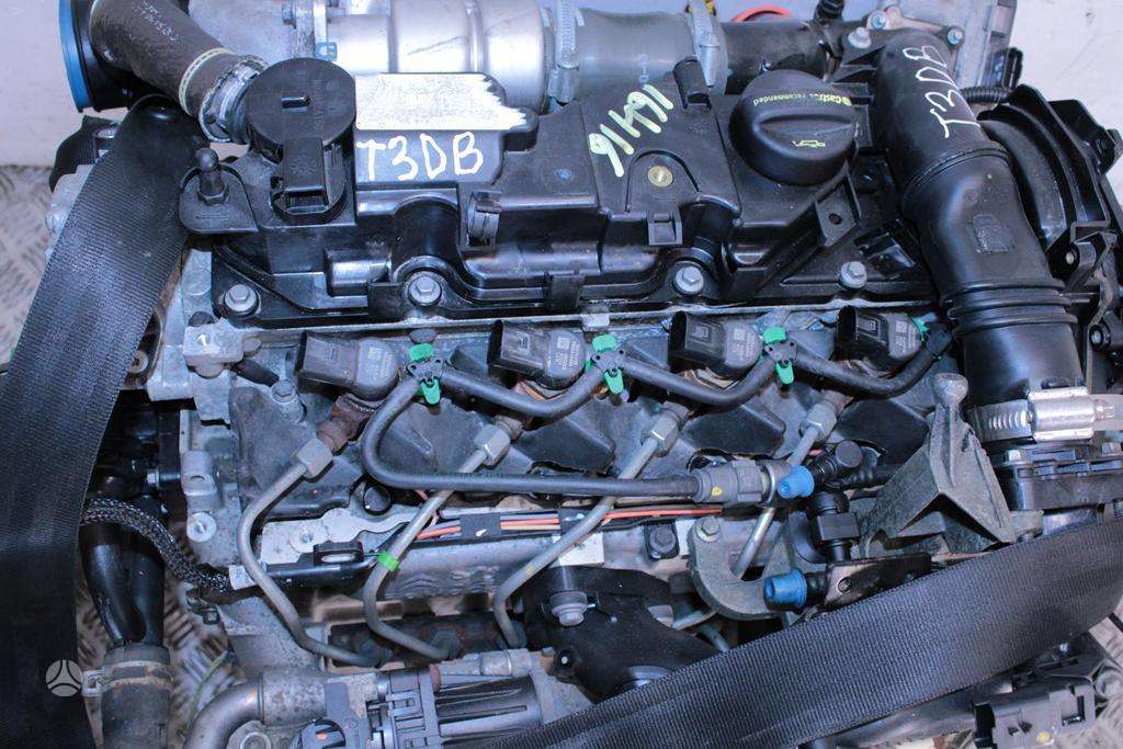 Ford Focus, T3DB, Variklis t3db