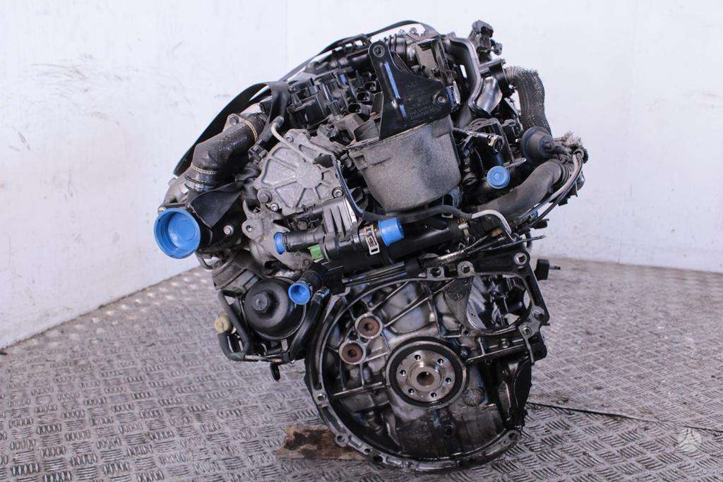 Ford Mondeo, T1BC, Variklis t1bc