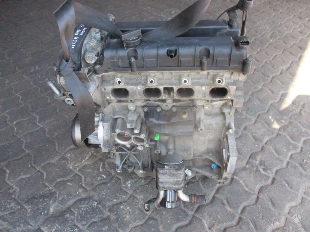 Ford Focus Variklis 1 6b hxda