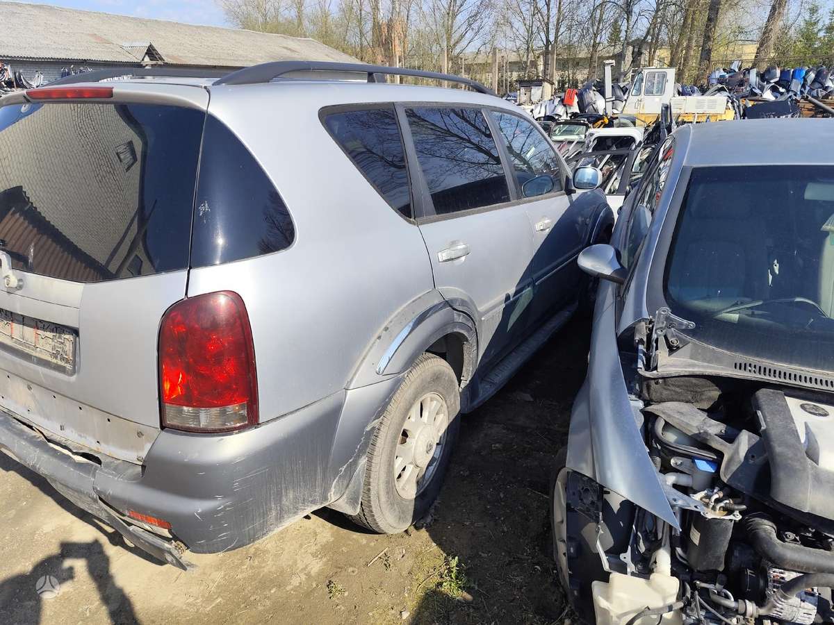 SsangYong Rexton dalimis